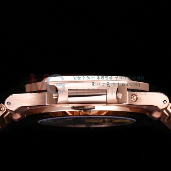 ʸ ð PP571522-1