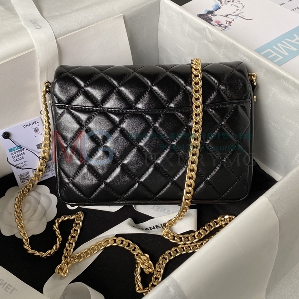 ��* �� Ȧ�� ü�� �÷��� AS3855-A-1