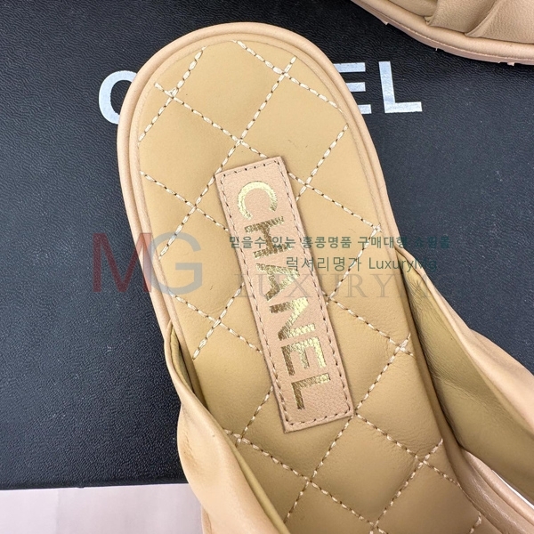 *   CHA55067-1