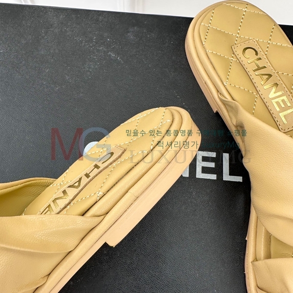 *   CHA55067-1