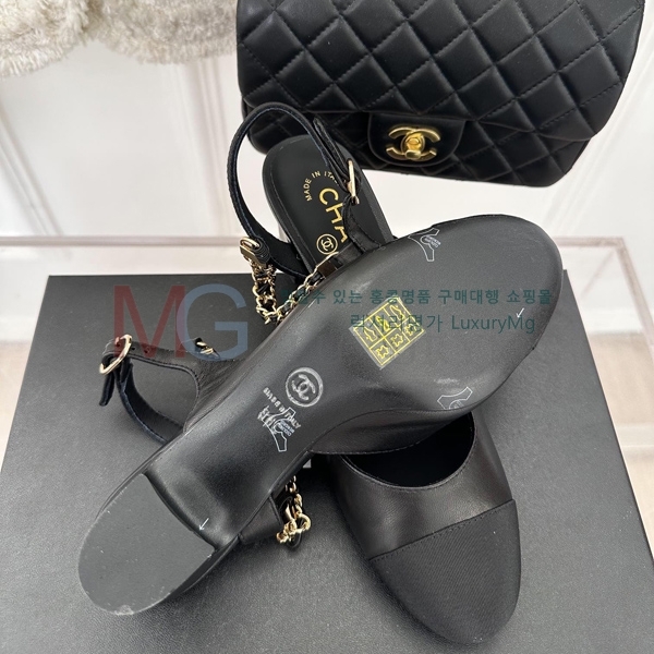 *   CHA55065-1