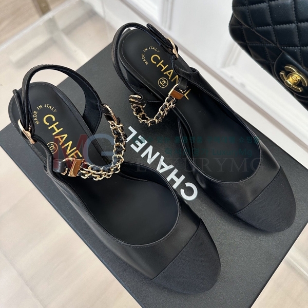 *   CHA55065-1
