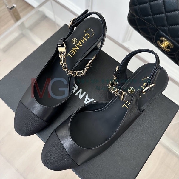 *   CHA55065-1