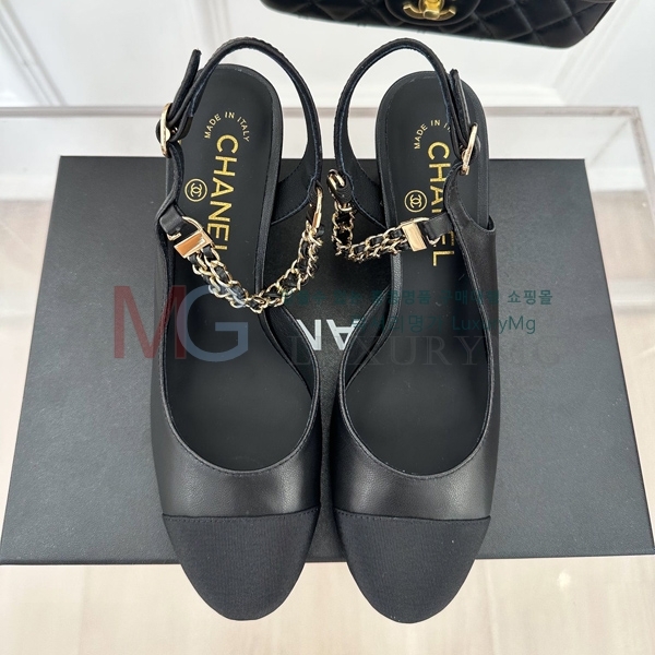 *   CHA55065-1