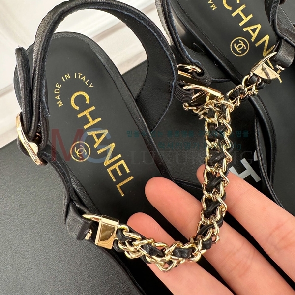 *   CHA55065-1