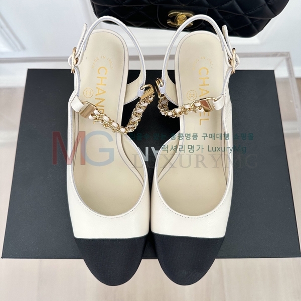 *   CHA55065-2