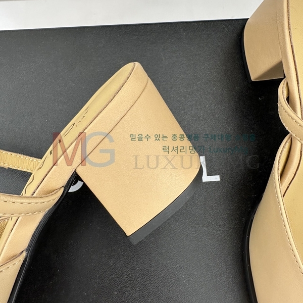 *   CHA55064-1