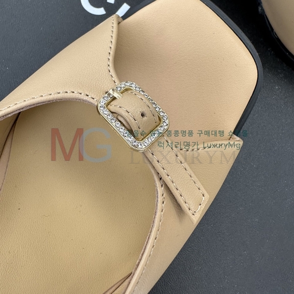 *   CHA55064-1