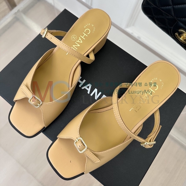 *   CHA55064-1