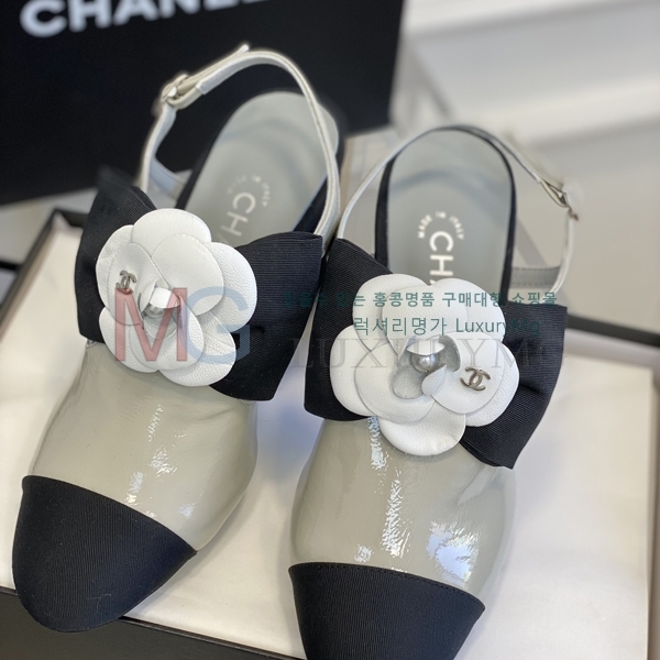 ��* ������ ���� CH602280