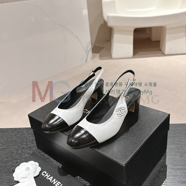 *   31CN84521-3