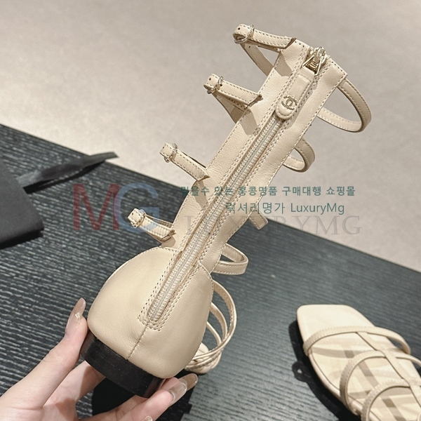 *  KX681537-3