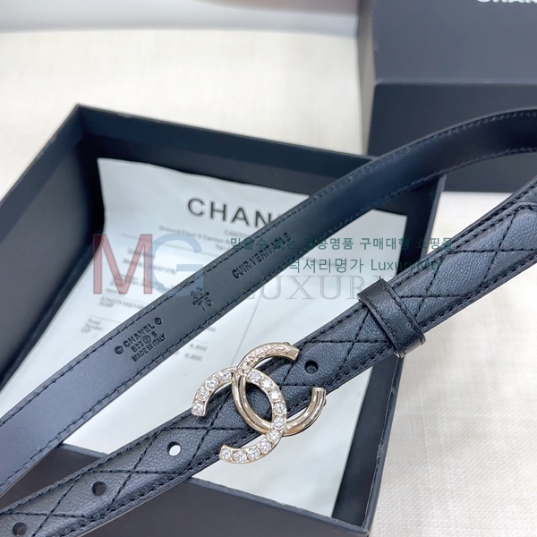 ���� ��* ��Ʈ �� 2cm CH371313-14