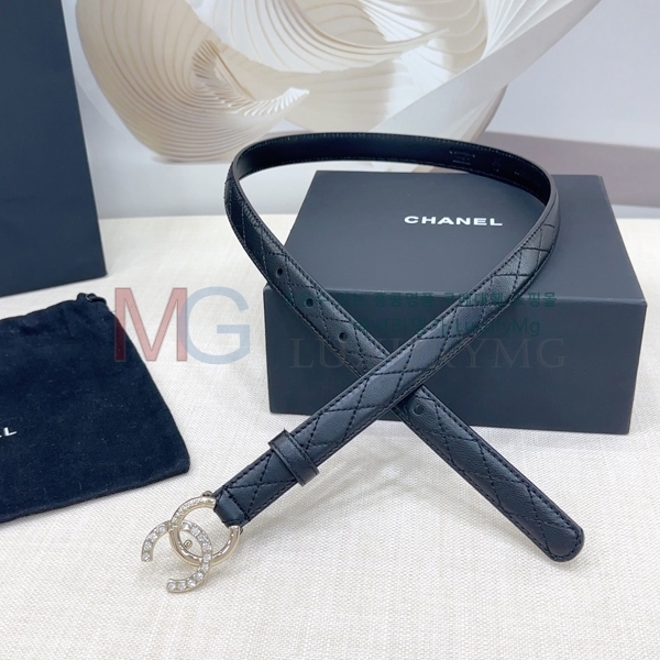 ���� ��* ��Ʈ �� 2cm CH371313-14