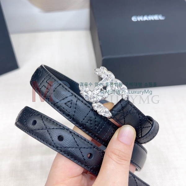 ���� ��* ��Ʈ �� 2cm CH371313-1