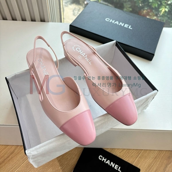    DR58637