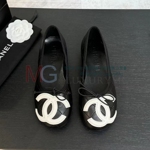 ���� ��* �÷����� CP662281