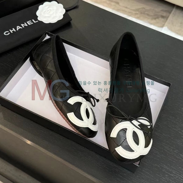 ���� ��* �÷����� CP662281