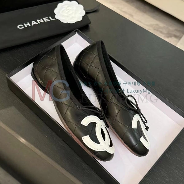 ���� ��* �÷����� CP662281