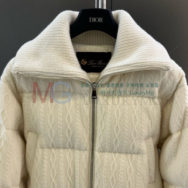 ���� �η�**�� �ٿ� �е� LP34067-1