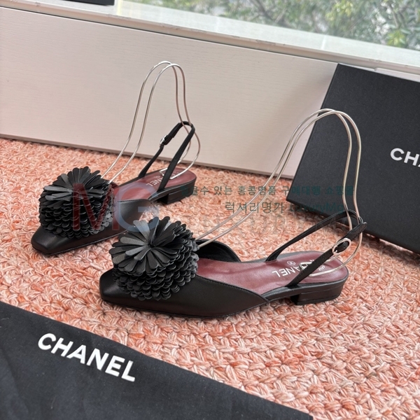 ���� ��* ������ ���� R7T137231-2