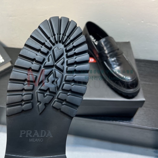 ���� ����� ���� PA590701