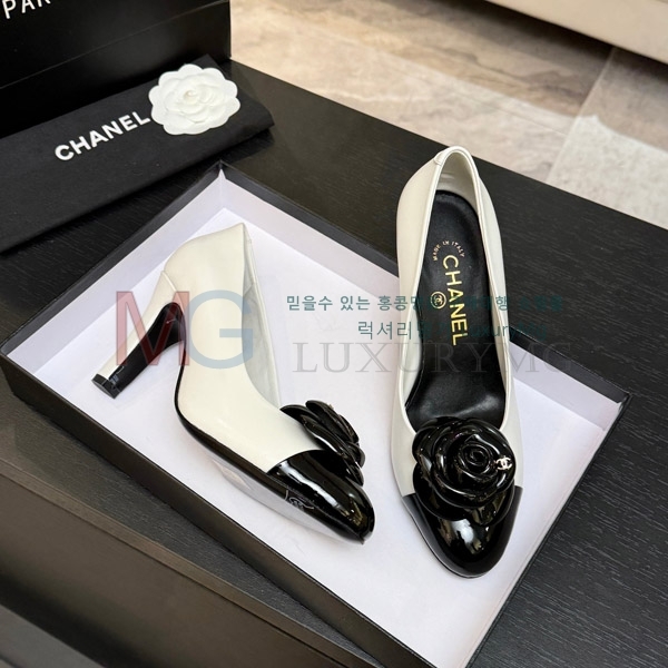 ���� ��*  �̵��� 3A7113329-4