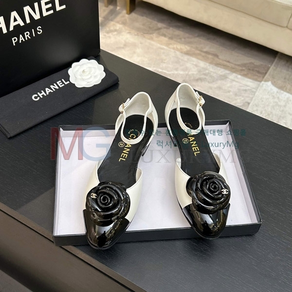 ���� ��*  �÷� ���� 3A7113328-4